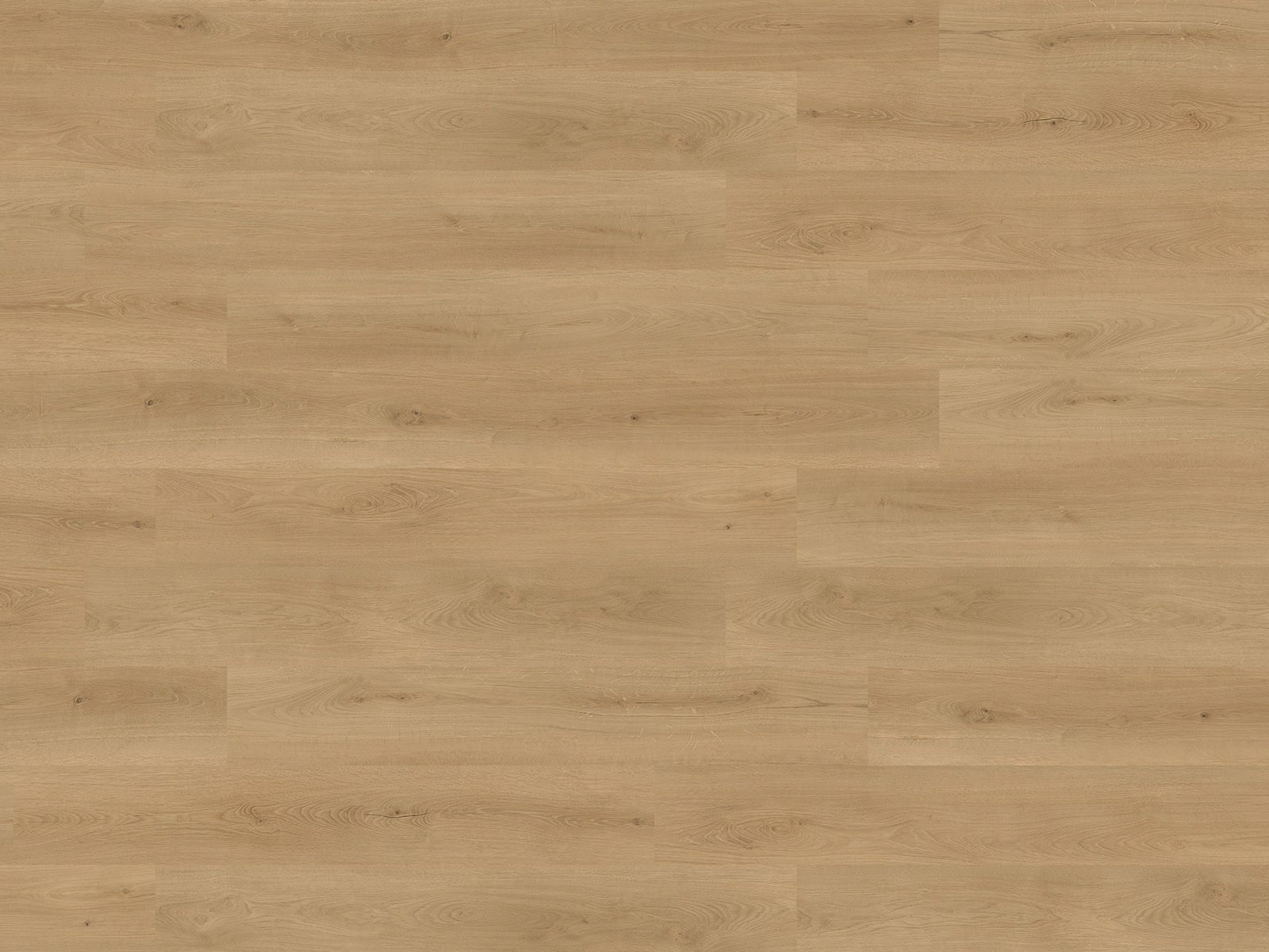 BE SMART - Essential Oak - immagine 6