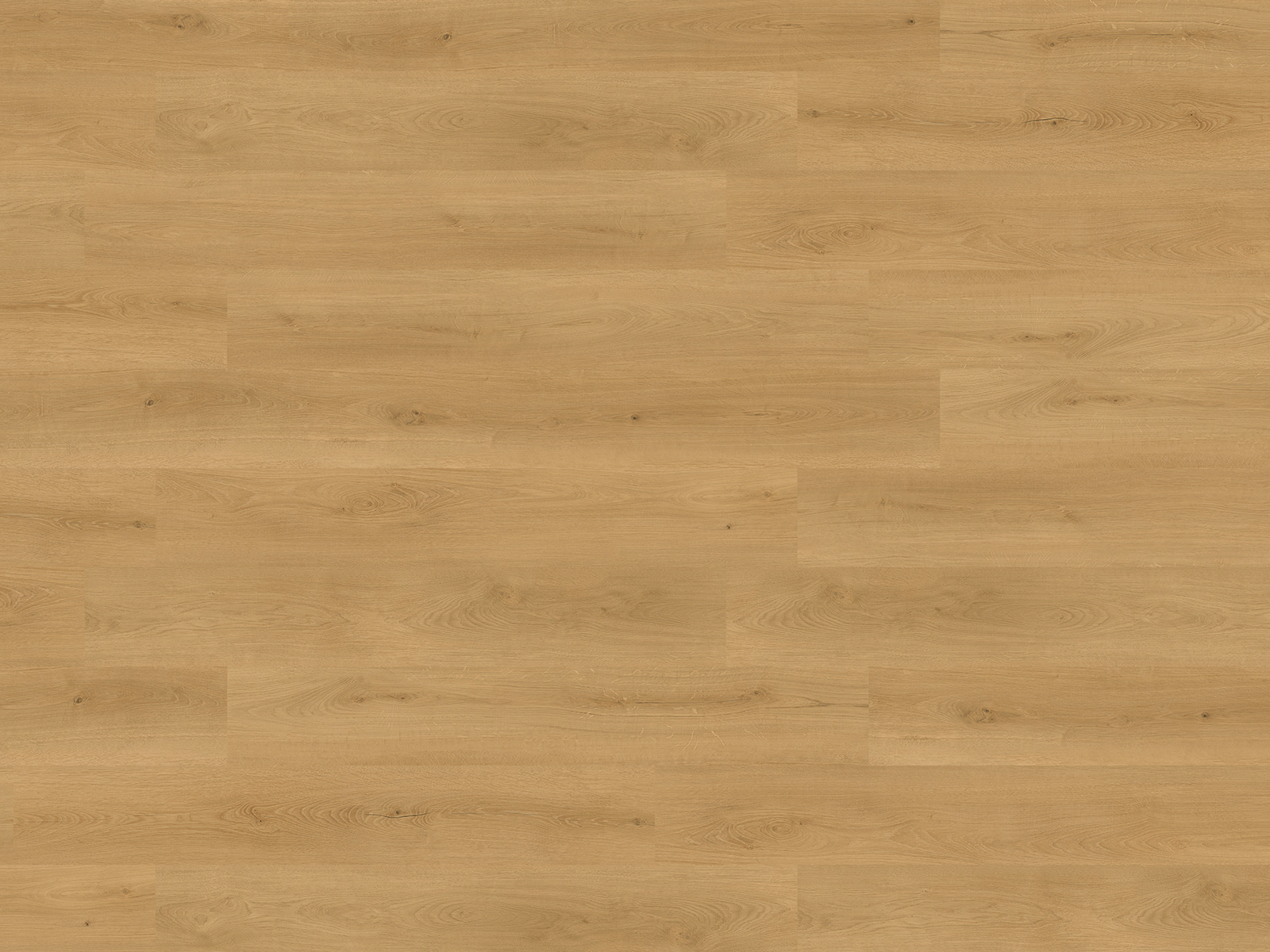 BE SMART - Essential Oak - immagine 8