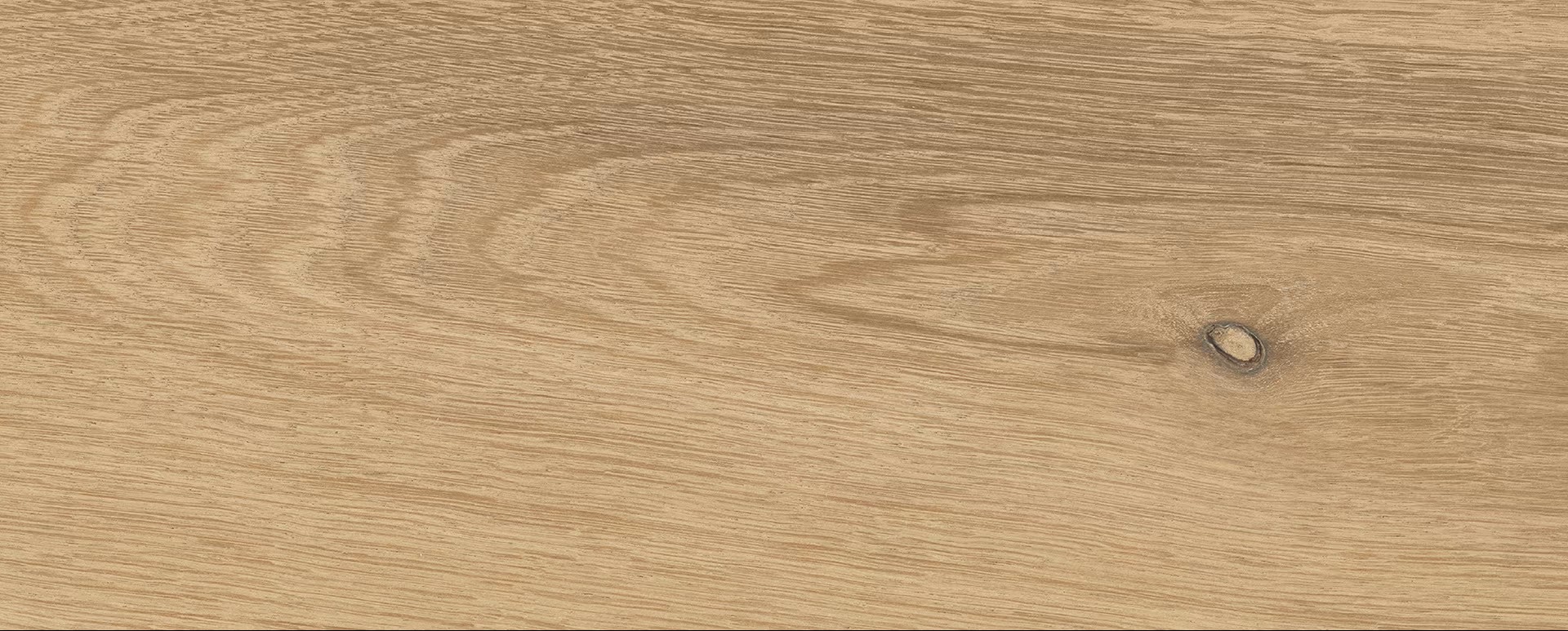 EROGN - I-Wood - immagine 5