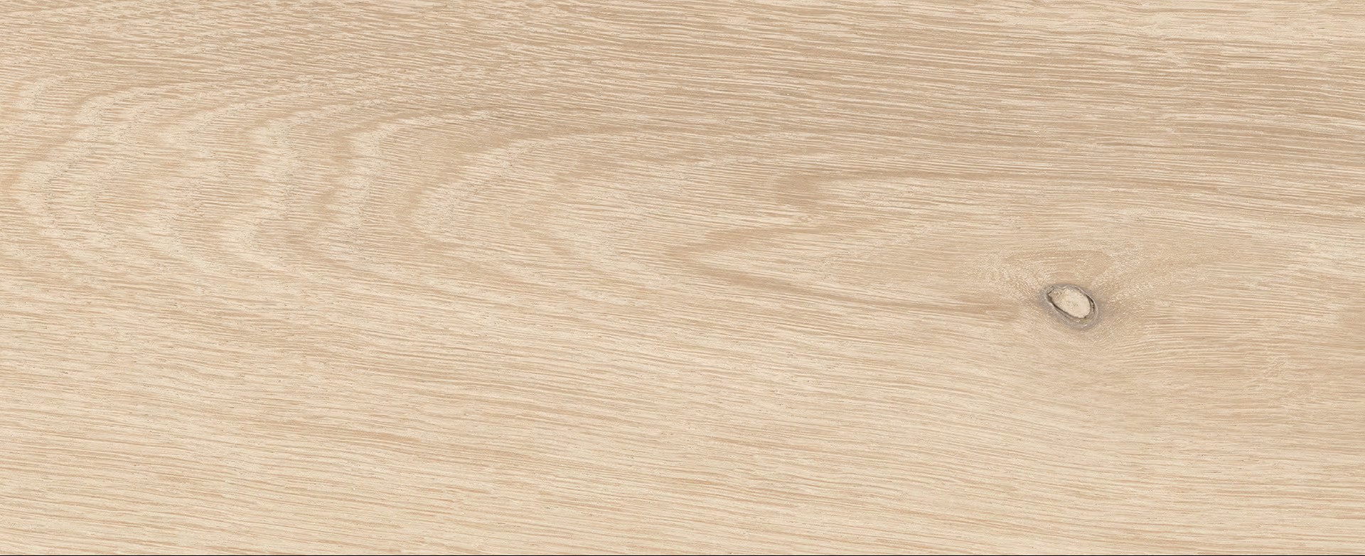 EROGN - I-Wood - immagine 4